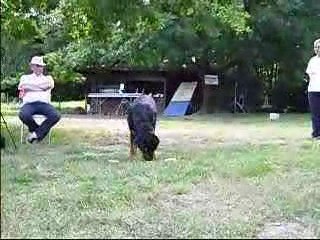 stage ob avec carmen benett vsa les 9/10/11 juin 2009