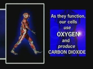 3 MHN Cells and body