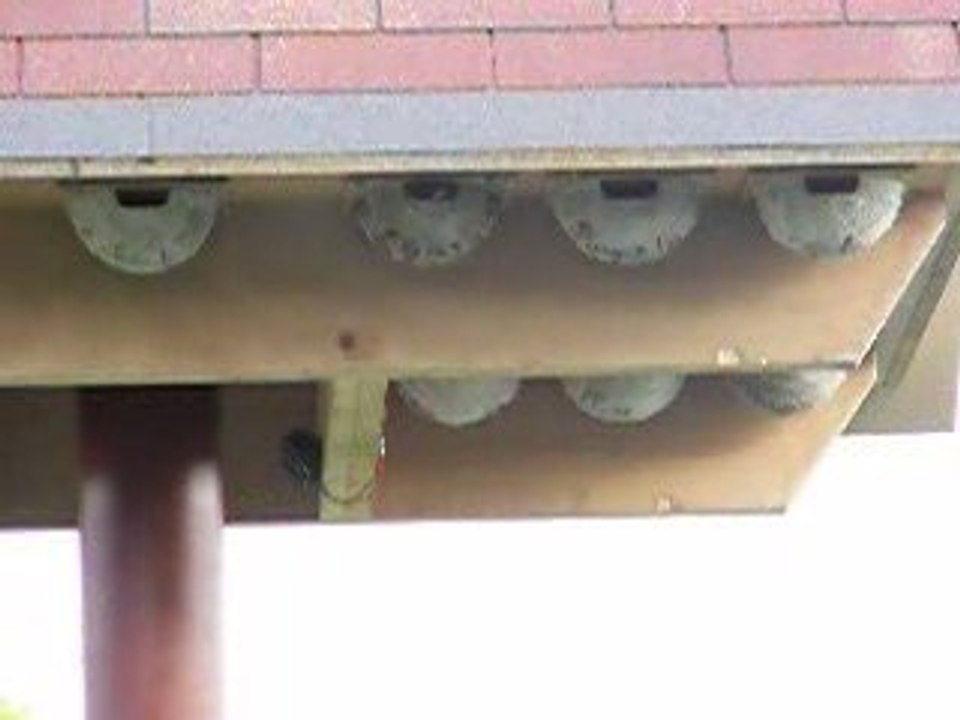 L'Hôtel des hirondelles (La Chaise-10)