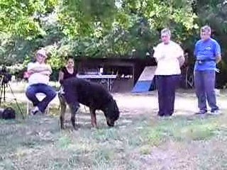 stage ob avec carmen benett vsa les 9/10/11 juin 2009