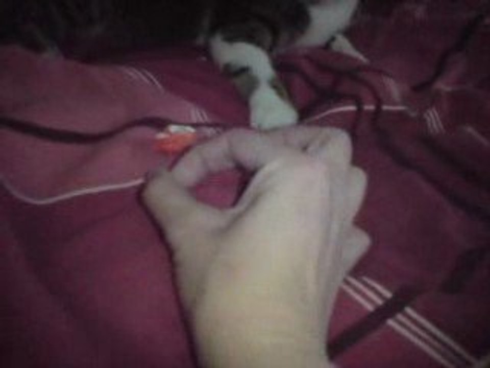 leeloo fofolle