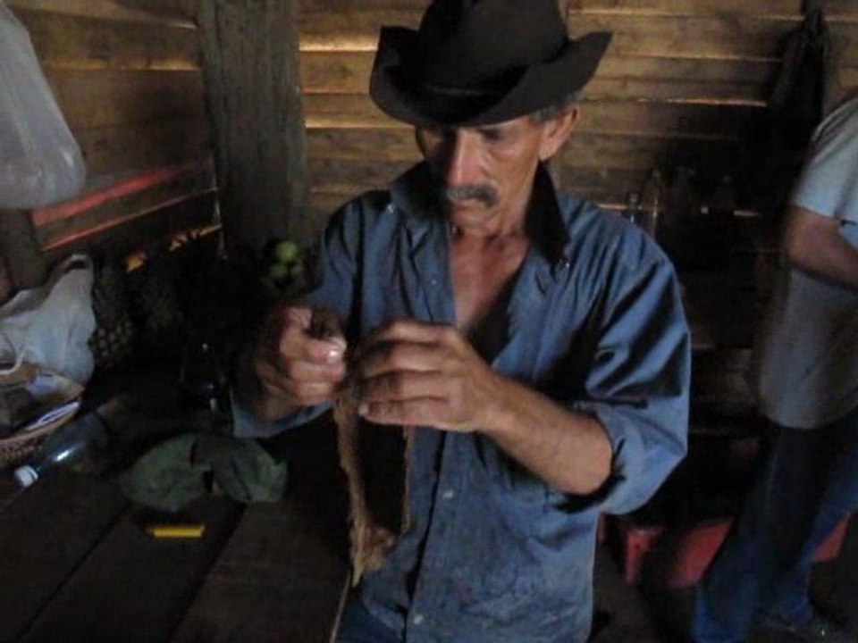 42 Cuba Vinales fabrication cigare