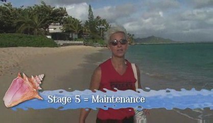 Beach Walk 715 - Life is not so linear pt 2