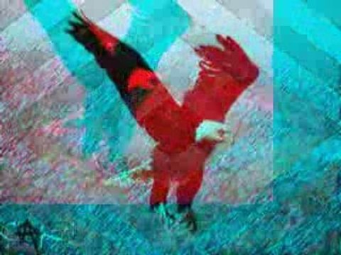 Bjk,besiktaş,çarşı