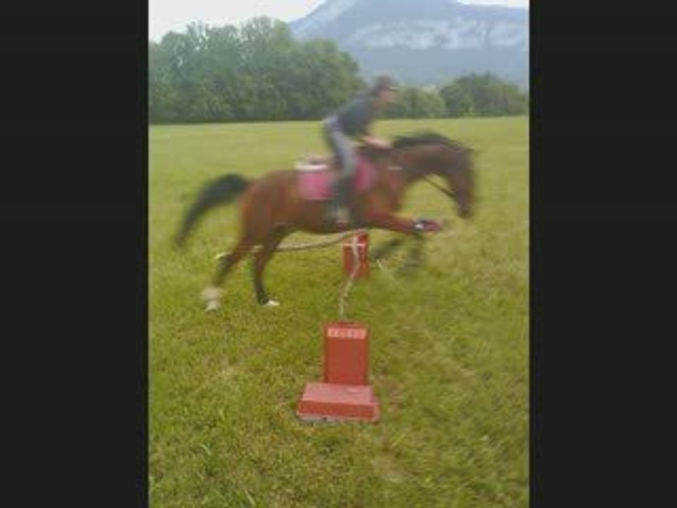 Le 8 juin saut
