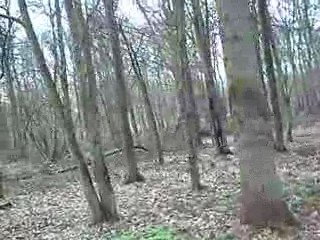 STI 2 Phalempin (souvenir les mecs)