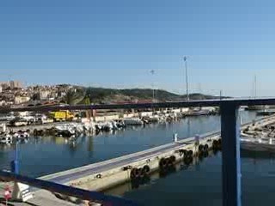 MVI_0918