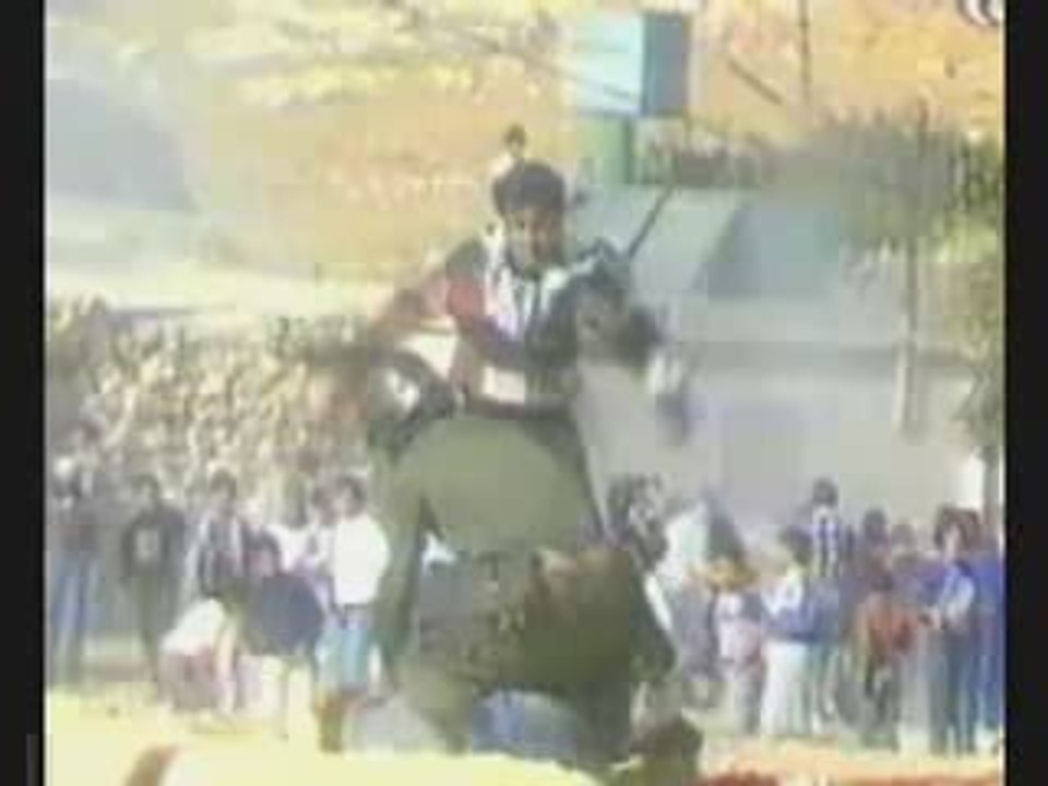 Un Lion qui attaque!!