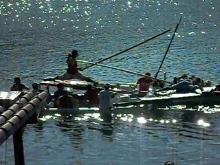 joutes a st pierre belle/ampuis