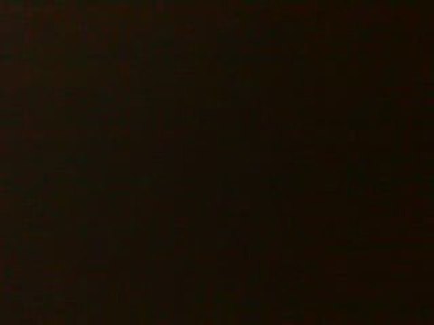 judgemant seven nations army