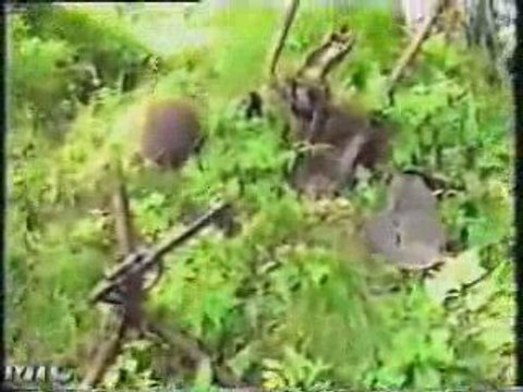 Vestiges Militaria Vrac1