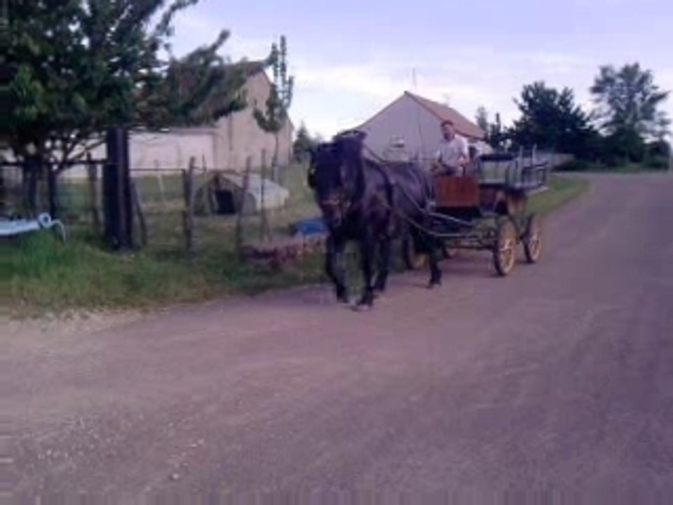 Sarah en caleche