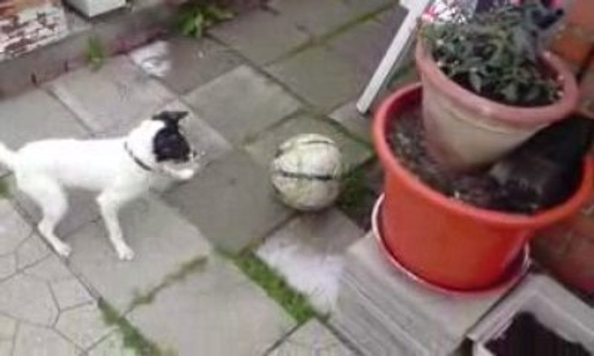axel joue au foot