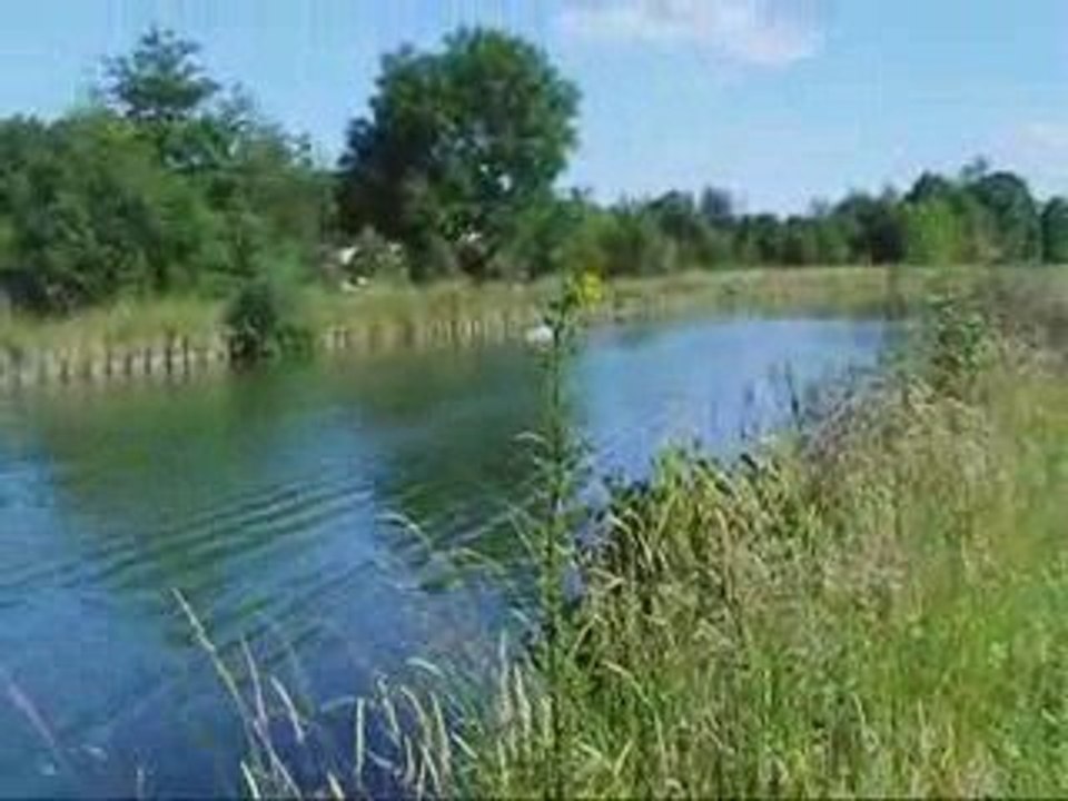 My minicat carbone 3s scorpion 2221-6 4400kv