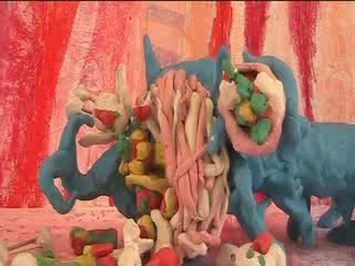 LES AVENTURES DES ANIMAUX 2009