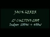 Video Jack Herer