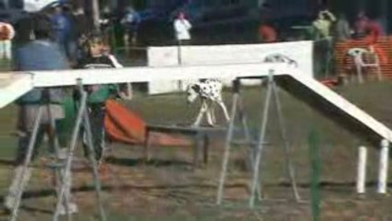 Clip christine sultane roquefure 26 10 2008