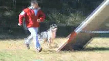 Clip david unick roquefure 26 10 2008