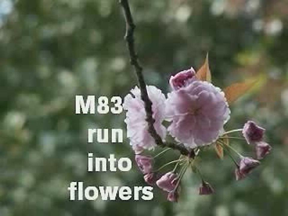 M83 Run Into Flowers abstrackt keal agram remix