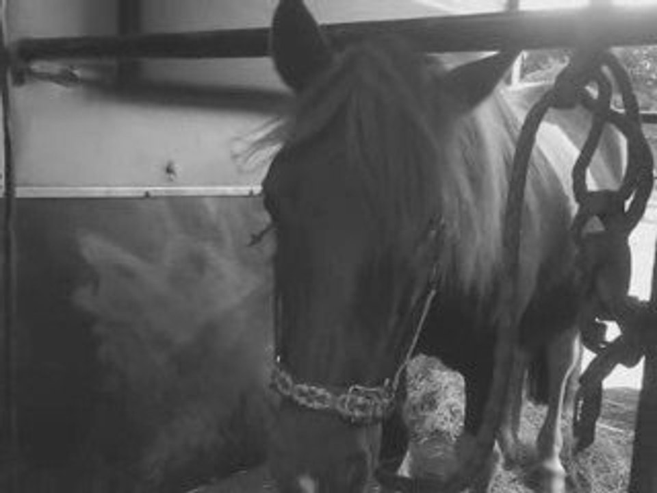 Nostalgie Mickey <3