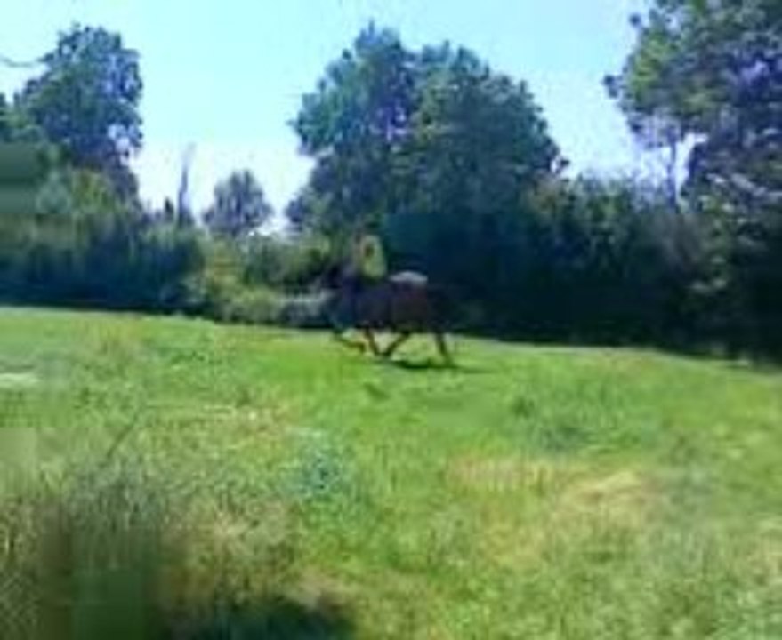 Paola galop au champ 2.