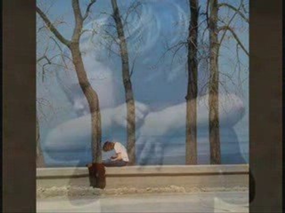 TÜLAY ÖZER  - İkimiz Bir Fidanın Güller Açan Dalıyız