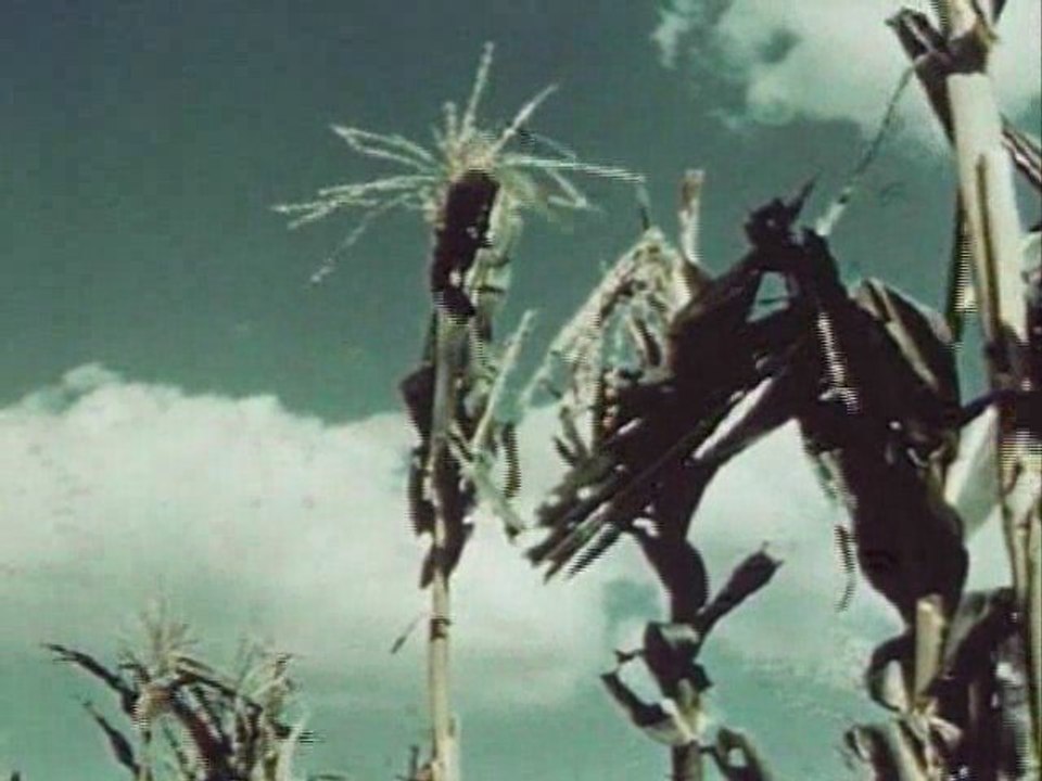 Guitar Instrumental EP - Apple Blood