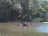 Kayaking in Florida & Georgia