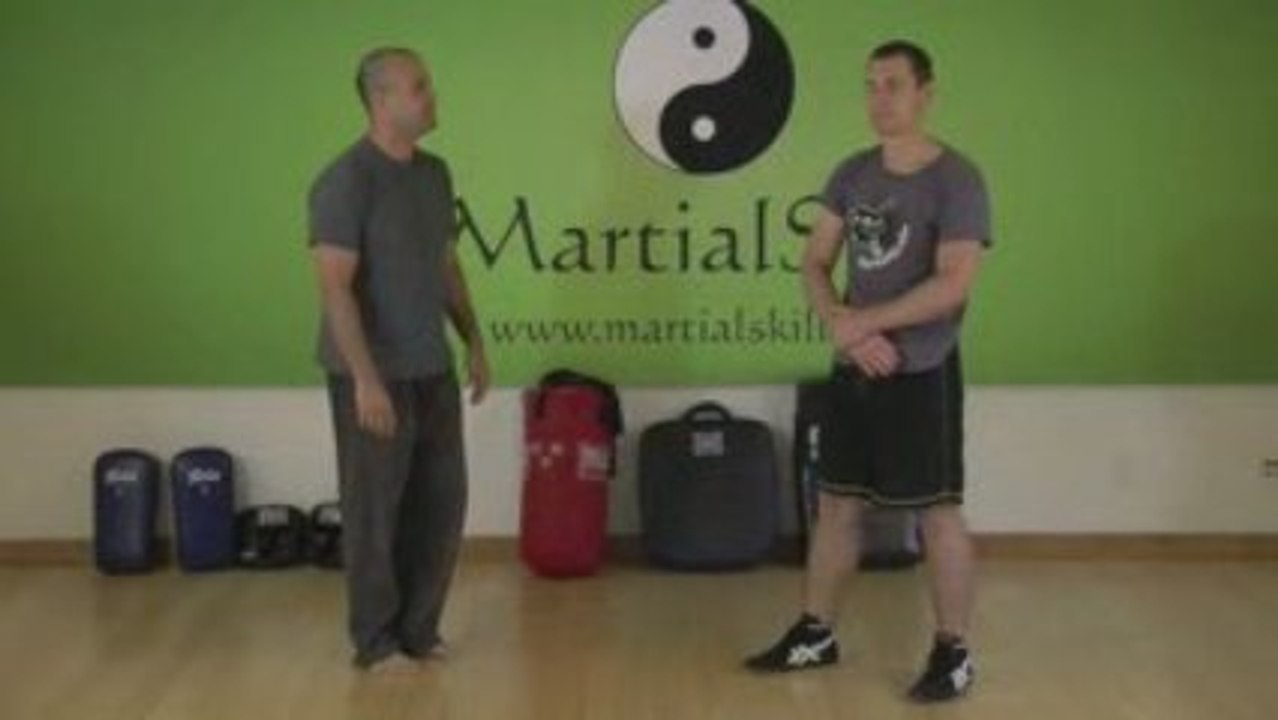 7 Star Mantis Kung Fu: Millstone Palm Chain Style
