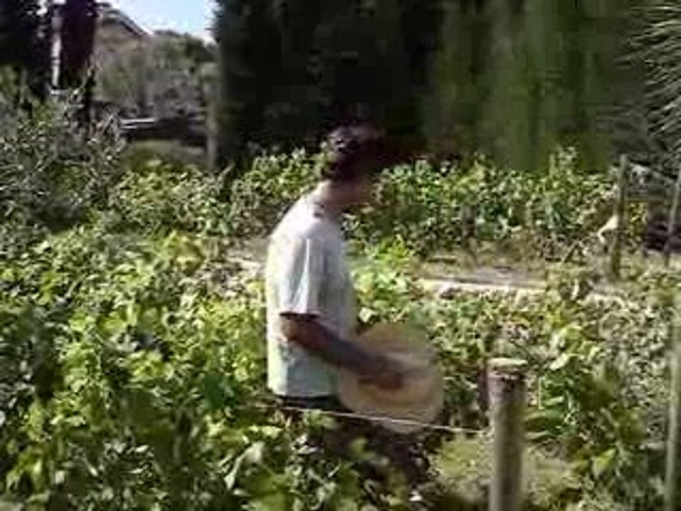 Sweatin' in the Syrah (Home winemaking '09 Video #1)