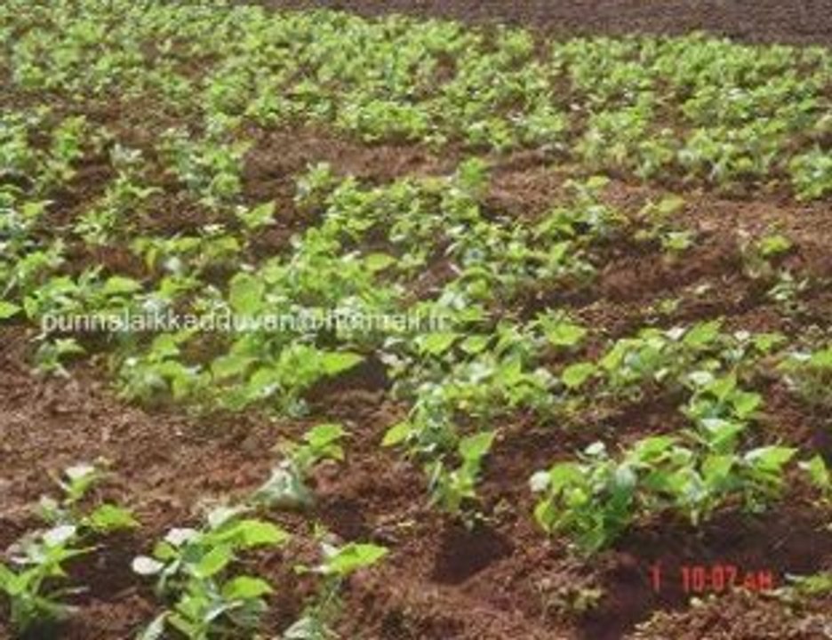 ஊரின் அழகான படங்கள் 2007