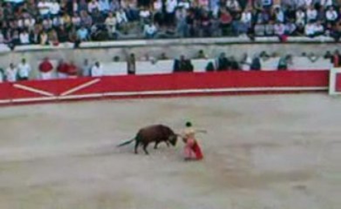 José Tomàs Nîmes 2e faena