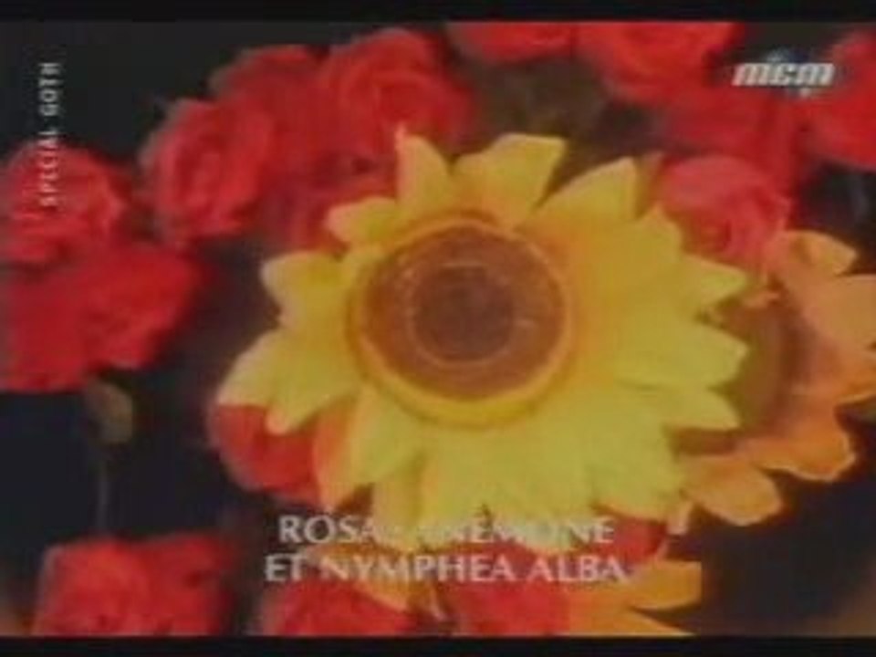[pv] Einstrzende Neubauten ~ Blume ~ french version