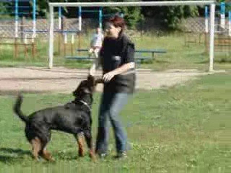 Valter Obedience 14.06