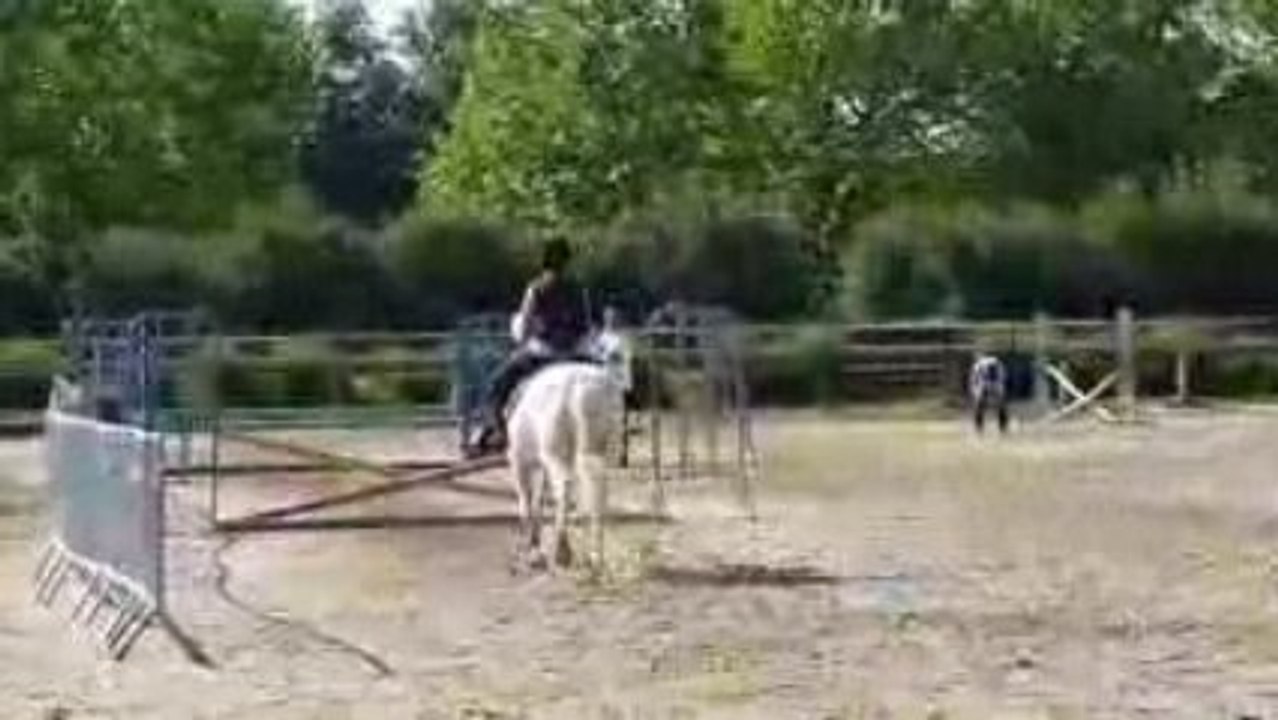 Dernier cours de saut ..