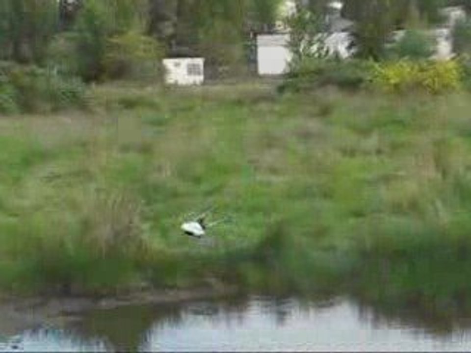 Trex water inverted