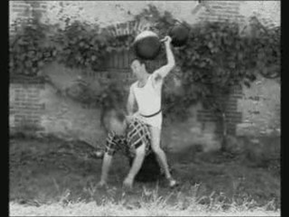 HALTEROPHILO II 2