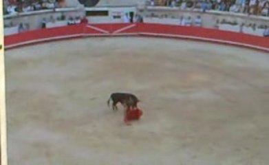 2de oreille de Daniel Luque