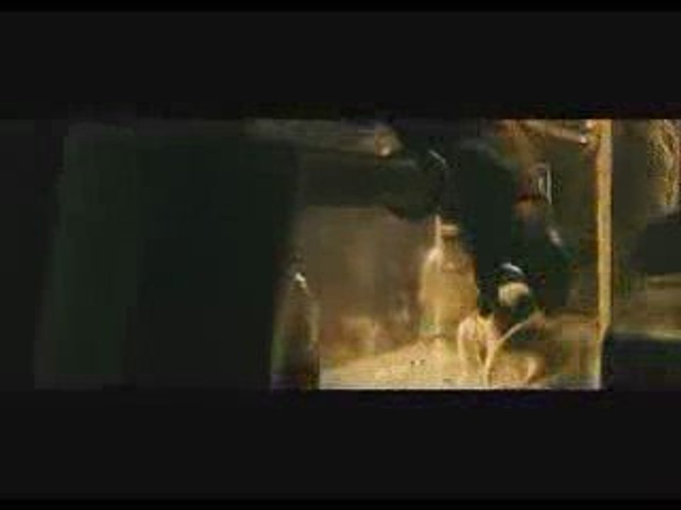 Saw 5 trailer officiel