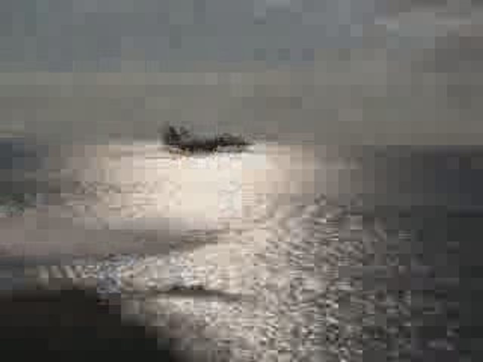 F14 SuperSonic over Seas