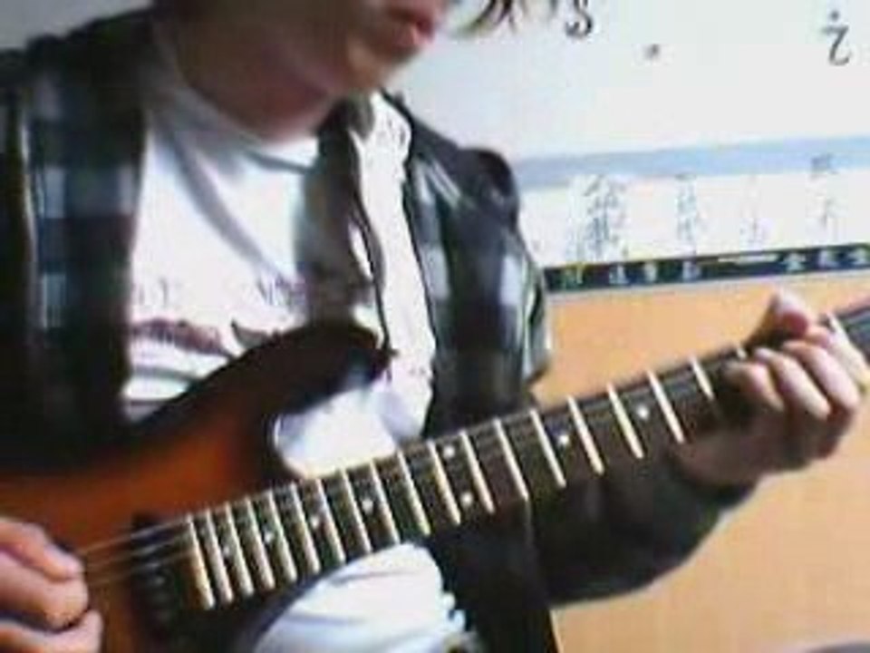 Ultra vomit  je collectionne des canards