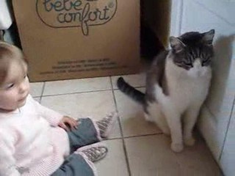 06-06-09 avec le chat