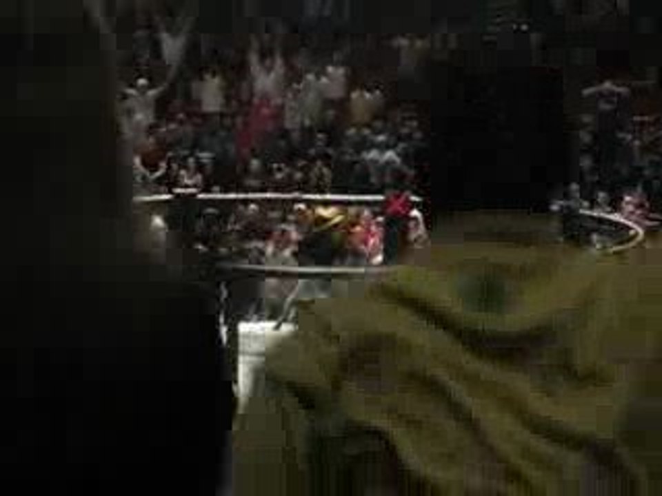 Tim Sylvia vs. Ray Mercer Fight Video Adrenaline MMA 3