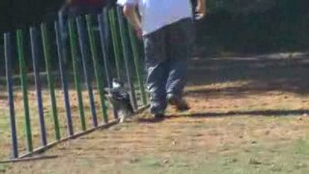 Clip xavier chiara roquefure 26 10 2008