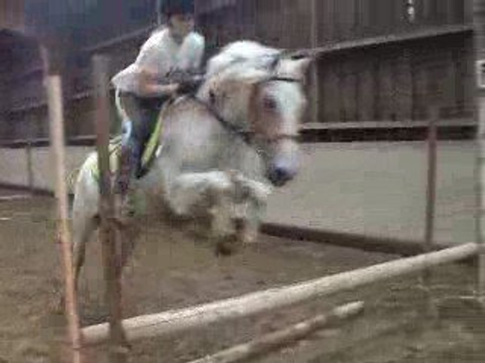Video du cours avec Hidalgo : Mercredi 10 Juin 2009