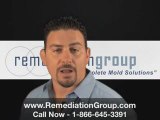 [REMEDIATION GROUP] Mold Clean Up South Florida Mold Removal