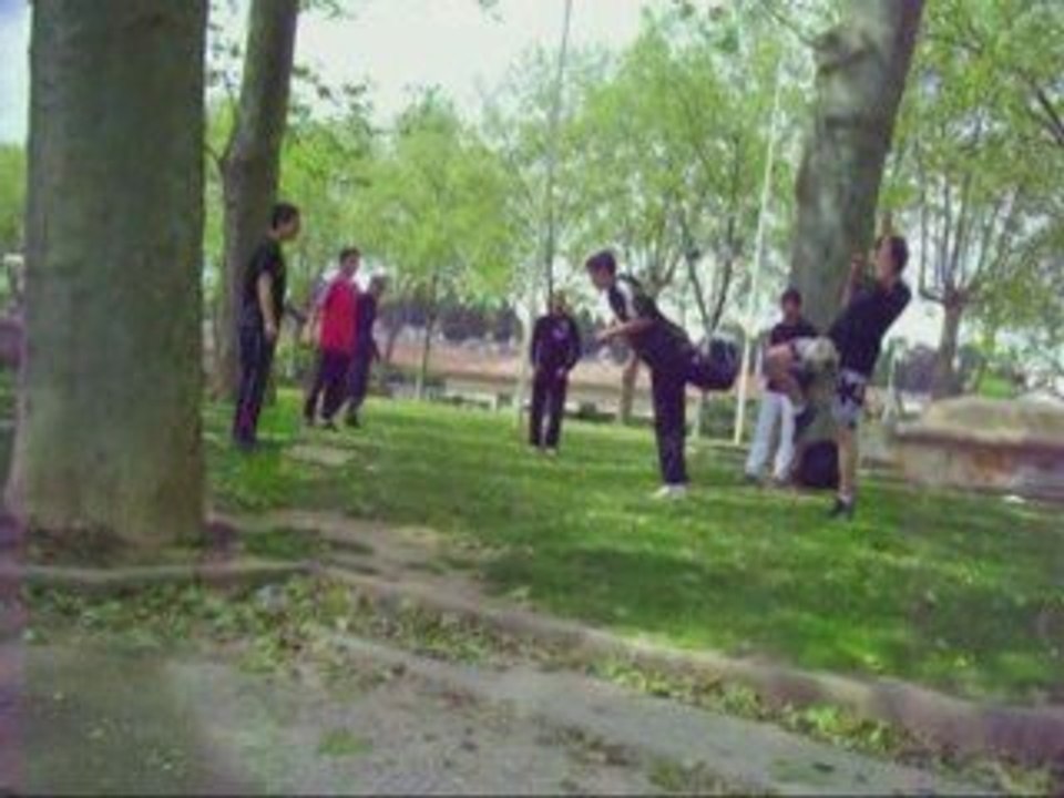 Dans la gueule