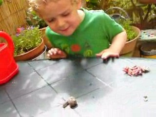 Tu fais quoi, petit escargot?