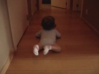 Attrape moi si tu peux... Zia en vadrouille