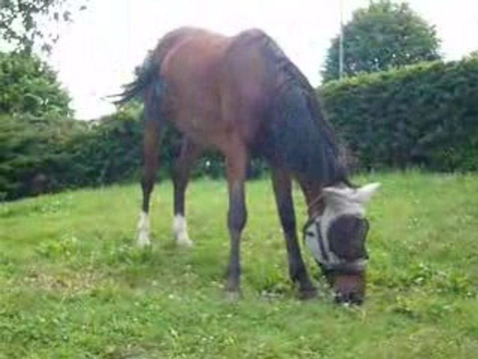 séance difficile pour Roméo lol